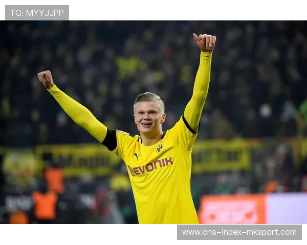 拜仁盯哈兰德式砍:一场对未来的豪赌与布局 拜仁盯哈兰德式砍:一场对未来的豪赌与布局