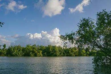 巨星对决：梅西、C罗在赛场上的巅峰之战，c罗梅西对战比赛视频