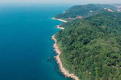 勇士赛后安排心理辅导缓解球员精神压力，勇士队内训练赛